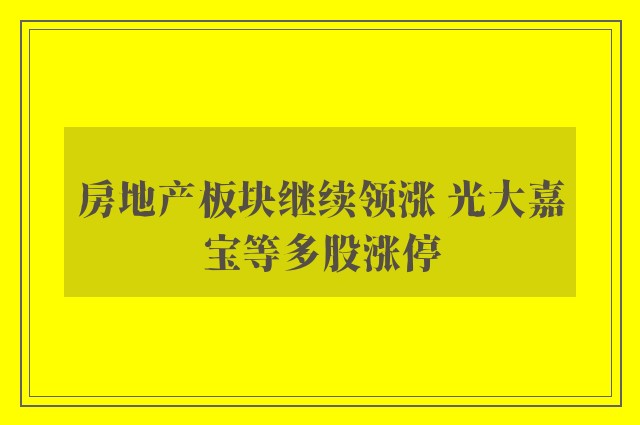 房地产板块继续领涨 光大嘉宝等多股涨停